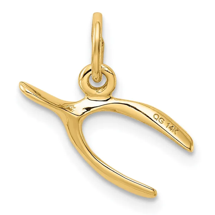 14k Yellow Gold Wishbone Charm TreasureFineJewelers Charm Necklaces