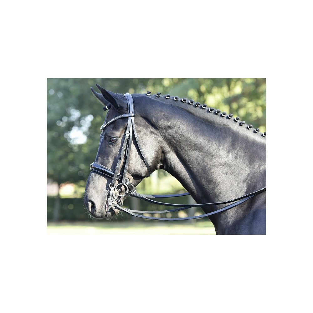 Bridles |   Double Bridle Luxury Bridles black_grey