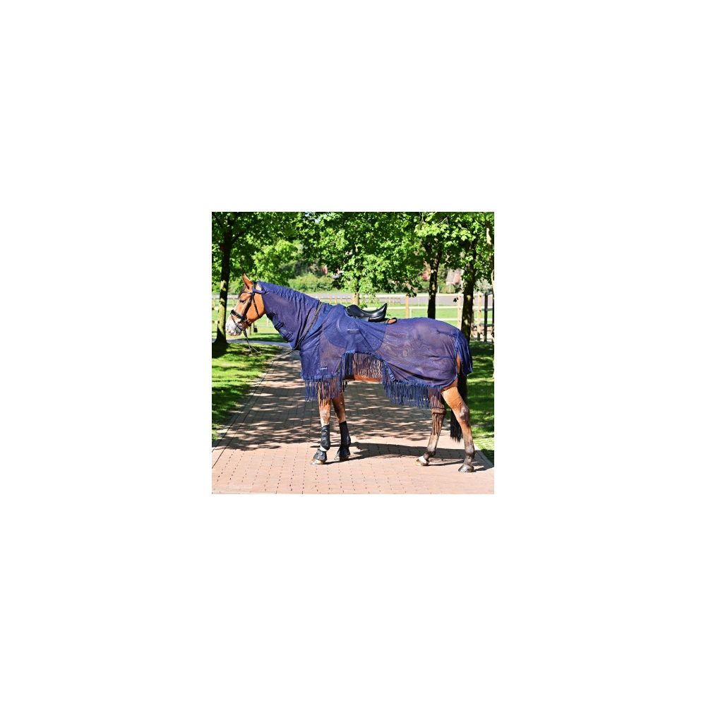 Fly Control For Horses |   Moskito-Fransen Iii Horse Exercise Fly Sheet Fly Control For Horses Fly Control For Horses