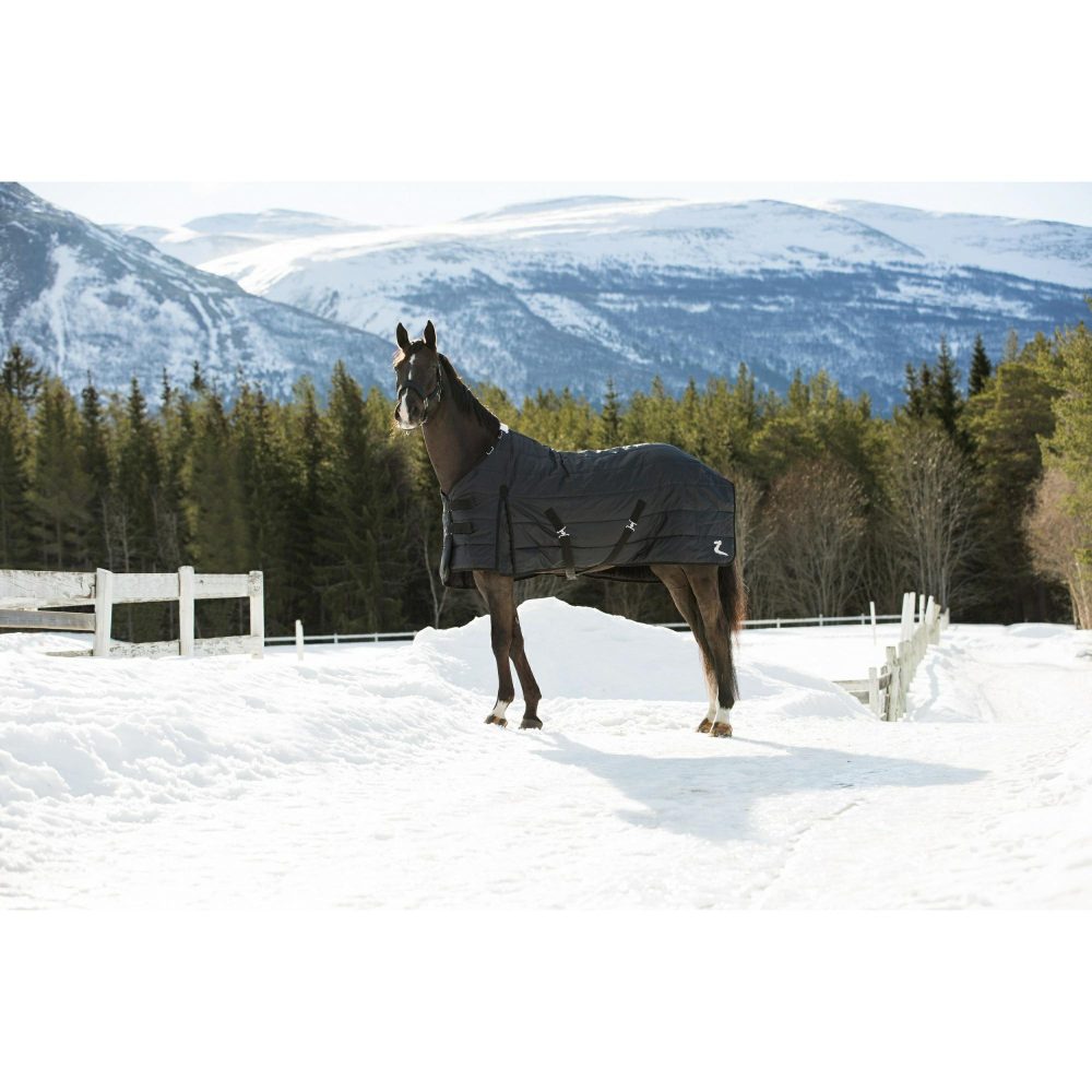 Horse Rugs |   Nevada Mid-Season Stable 100G Horse black