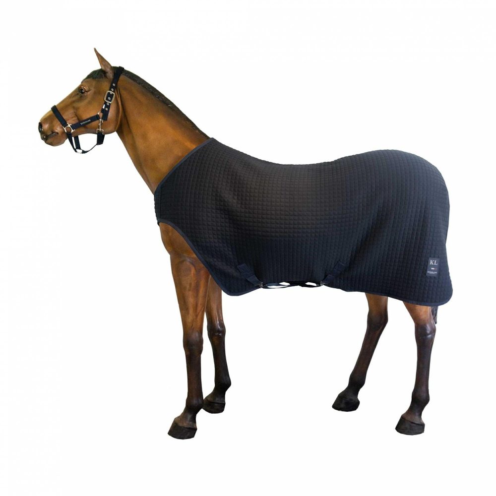 Horse Rugs |   Wool Evolution Walker Lunging Rug Horse Horse Rugs